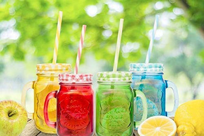 Mason Jar with Lid and Straw Set of 6 -  450ml